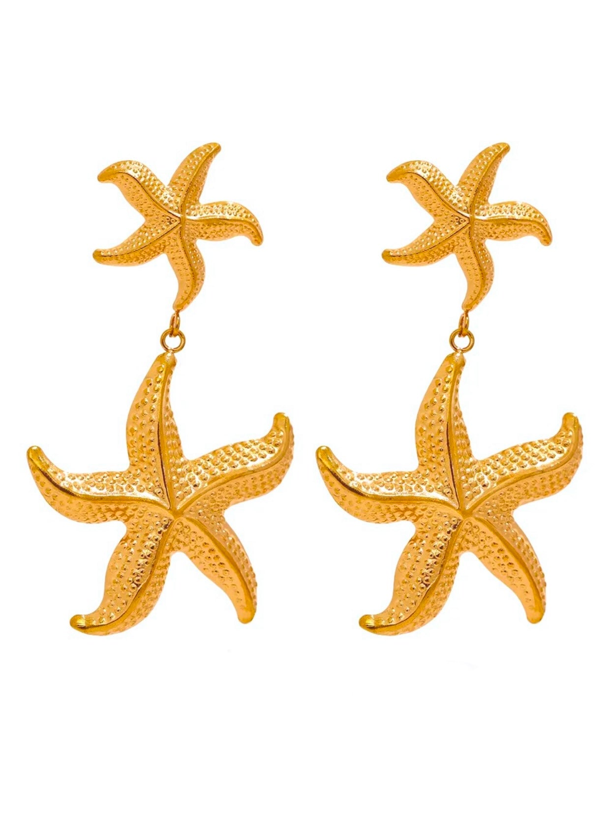 Aretes Isla Catalina